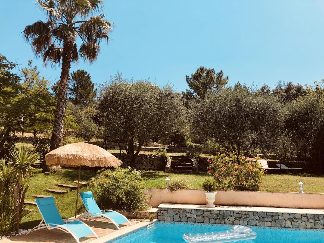 Maison De Vacances Villa Cardabella Le Tignet Zewnętrze zdjęcie